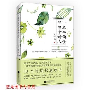 一本书读懂经典 书籍 古诗人 大老振 社 江苏凤凰文艺出版 正版