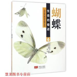 【正版书籍】 蝴蝶 [日] 须田研司 编,邱博 译,[日] 久保秀一 摄影 中国人口出版社