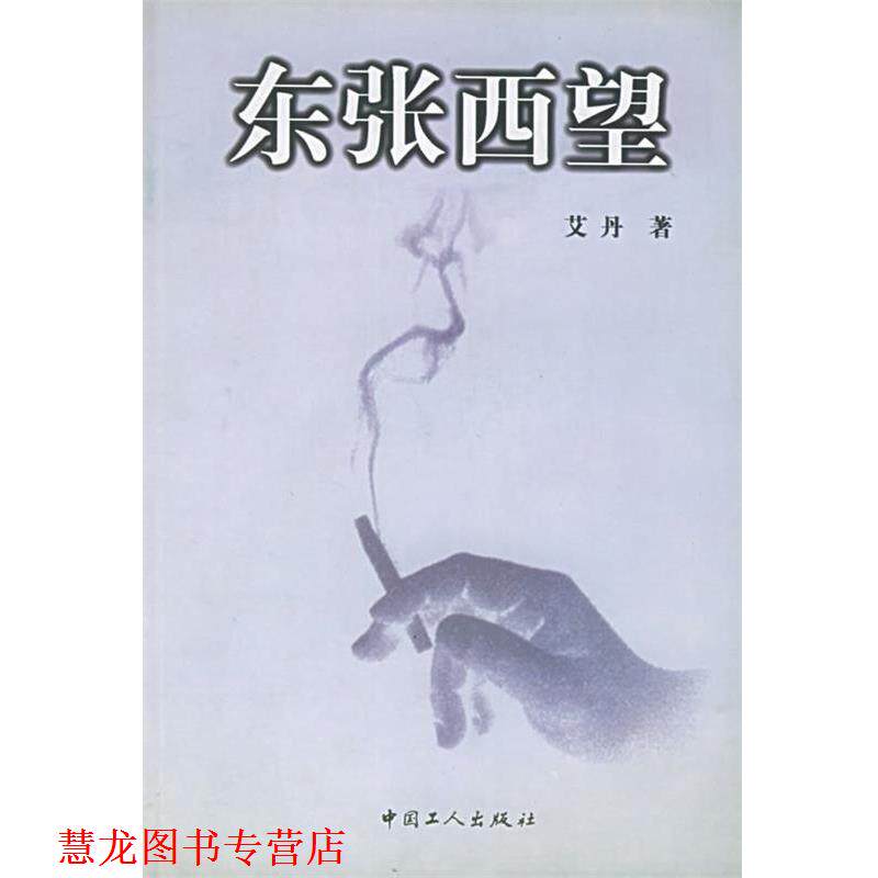 【正版书籍】 东张西望 艾丹 著 工人出版社