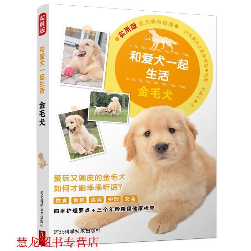 【正版书籍】 和爱犬一起生活：金毛犬 日本爱犬之友编辑部,吴品正 河北科学技术出版社