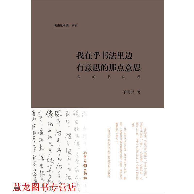 【正版书籍】 我在乎书法里边有意思的那点意思 于明诠 著 山东画报出版社