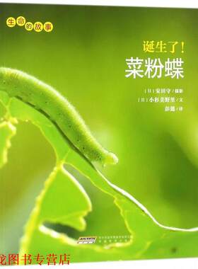 【正版书籍】 诞生了菜粉蝶 [日]小杉美野里,彭懿 安徽教育出版社