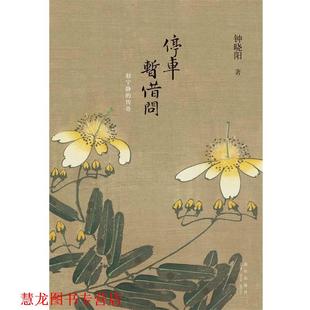 【正版书籍】 停车暂借问 钟晓阳 新星出版社