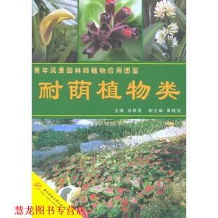 【正版书籍】 耐荫植物类 翁殊斐 编 华中科技大学出版社