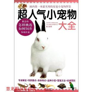 【正版书籍】 超人气小宠物大全 [日] 河野朝城 编 现代出版社
