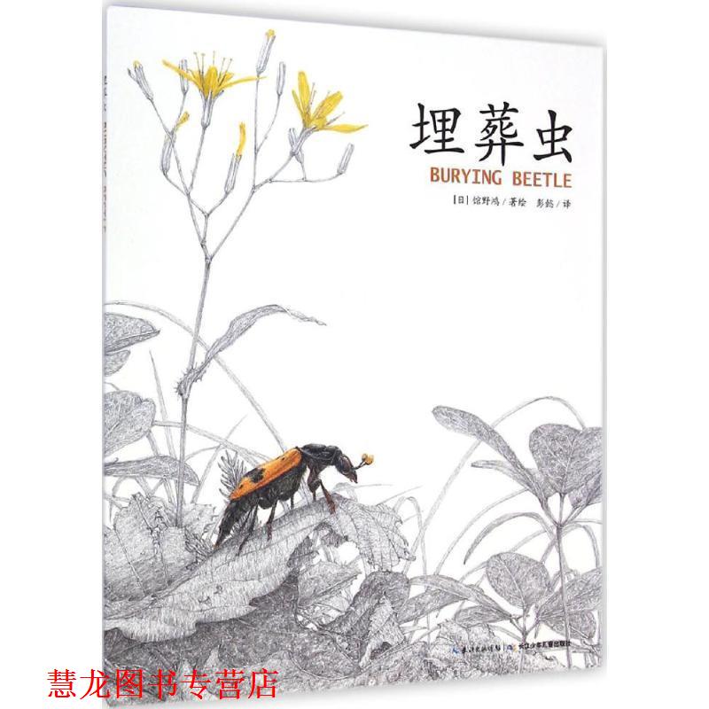 【正版书籍】 埋葬虫 (日)馆野鸿 著绘,彭懿 译 长江少年儿童出版社有限公司
