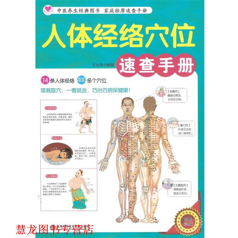 【正版书籍】 人体经络穴位速查手册 王达亮 编著 上海科学技术文献出版社