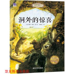 【正版书籍】 洞外的惊喜 [英] 鲁思·布朗 著,霍修远 译 清华大学出版社