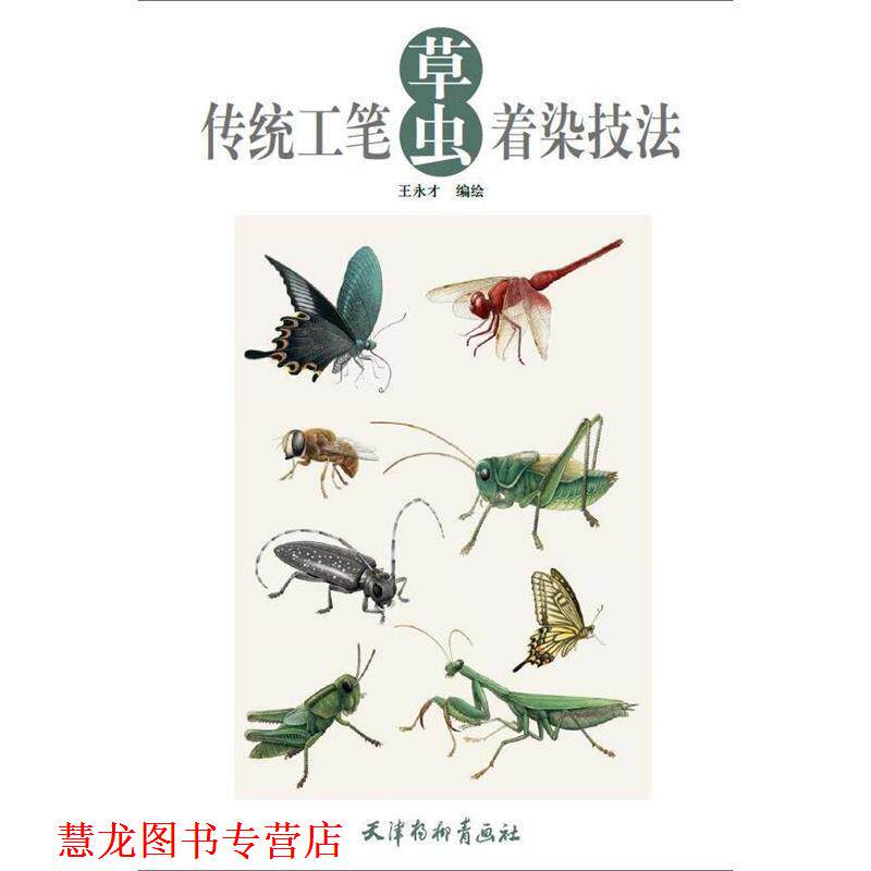 【正版书籍】 传统工笔草虫着染技法 王永才 杨柳青出版社