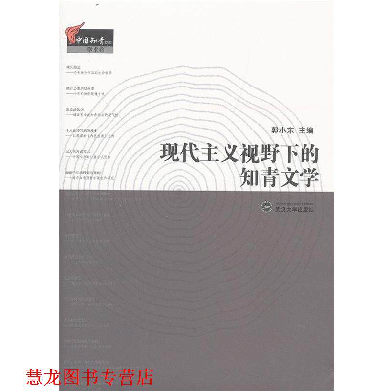 【正版书籍】 现代主义视野下的知青文学 郭小东 武汉大学出版社