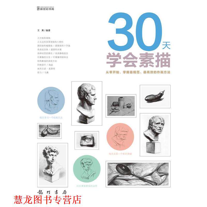 【正版书籍】 30天学会素描 王爽 龙门书局