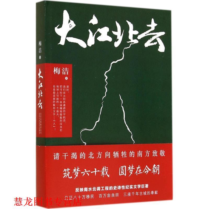 【正版书籍】 大江北去 梅洁著 北京十月文艺出版社