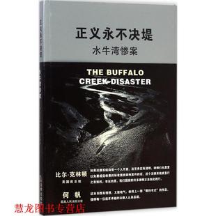 译 社 正义永不决堤 斯特恩 著 美 书籍 水牛湾惨案 法律出版 许身健 正版