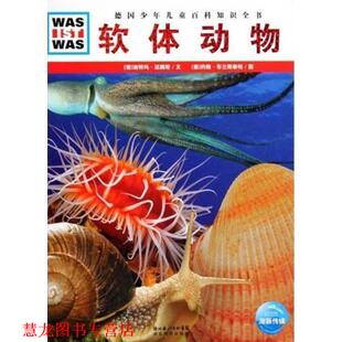 【正版书籍】 软体动物 (德)迪特玛·迈腾斯　文,(德)约翰·布兰斯泰特　图,徐小清　译 湖北教育出版社