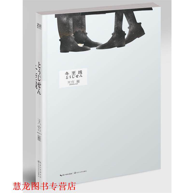 【正版书籍】 S冬至线 天宫雁 著 长江文艺出版社