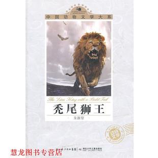 中国动物文学大系·秃尾狮王 书籍 朱新望 著 社 湖北少儿出版 正版