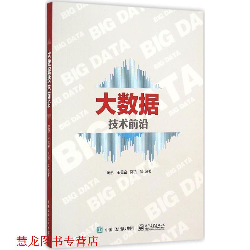 【正版书籍】 大数据技术前沿 阮彤 等编著 电子工业出版社