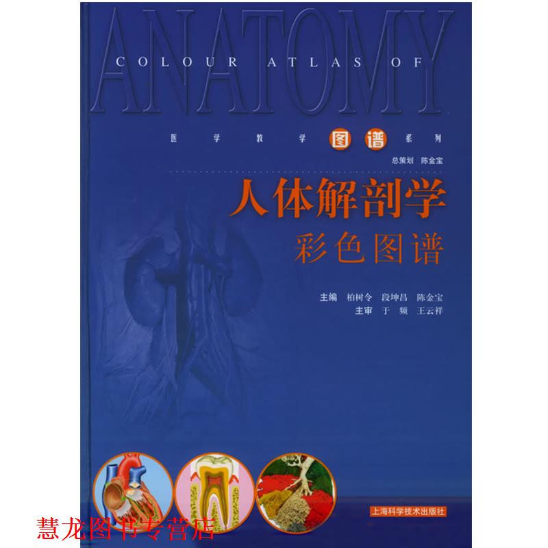 【正版书籍】 人体解剖学彩色图谱—医学教学图谱系列 柏树令,段坤昌,陈金宝 主编 上海科学技术出版社