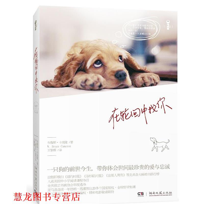 【正版书籍】 在轮回中找你 (美)卡梅隆 著 , 王黎娜 译 湖南文艺出版社