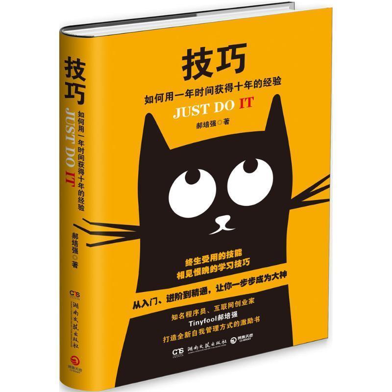 【正版书籍】 技巧:如何用一年时间获得十年的经验 郝培强 湖南文艺出版社