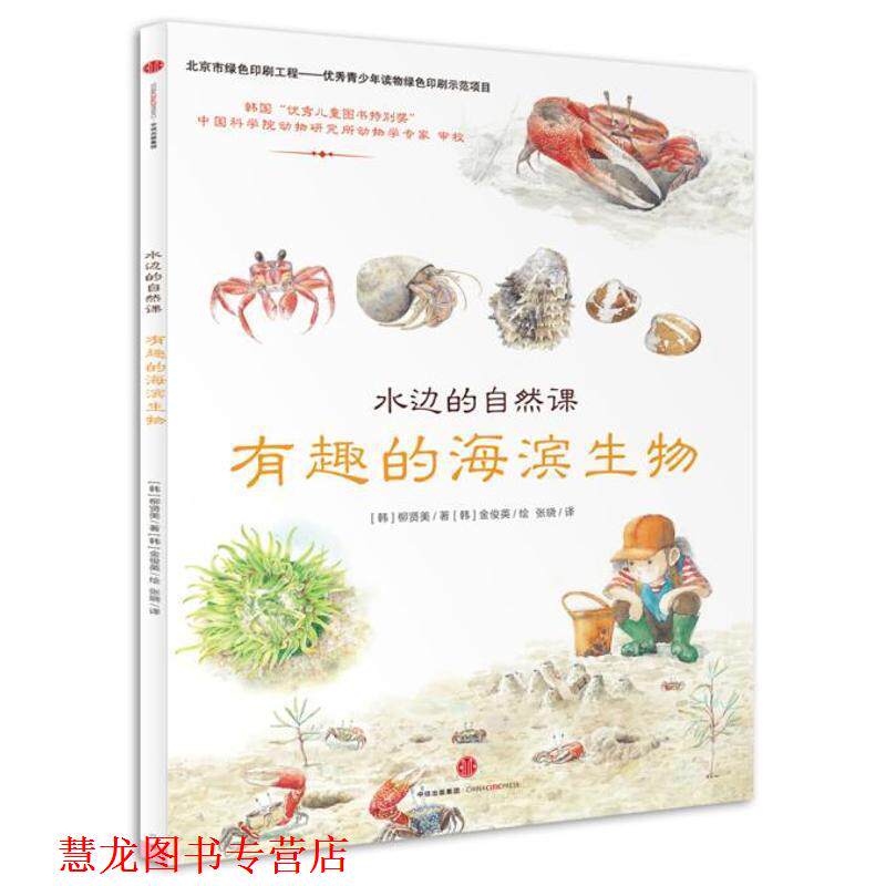 【正版书籍】 水边的自然课：有趣的海滨生物 [韩]柳贤美著 [韩]金俊英绘 中信出版社