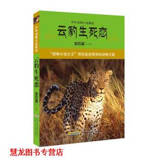 【正版书籍】 中外动物小说精品:云豹生死恋 沈石溪 安徽少年儿童出版社