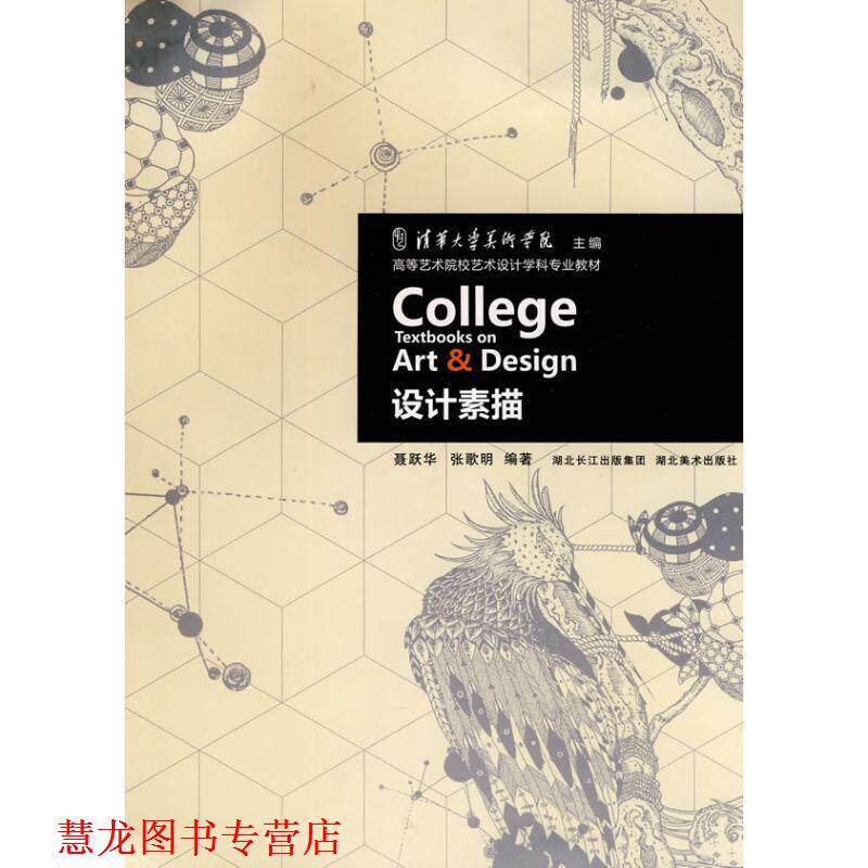 【正版书籍】 高等艺术院校艺术设计学科专业教材·设计素描 聂跃华,张歌明 编著 湖北美术出版社