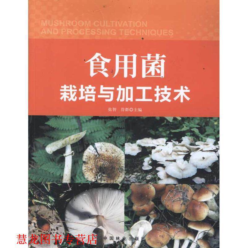 【正版书籍】 食用菌栽培与加工技术 张智 主编 中国林业出版社