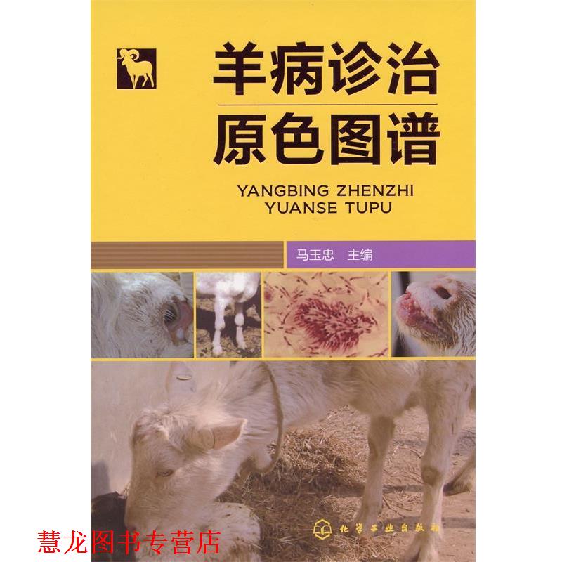 【正版书籍】 羊病诊治原色图谱 马玉忠主编 化学工业出版社
