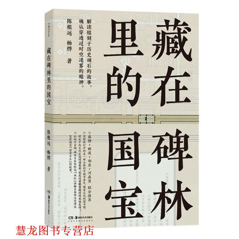 【正版书籍】 藏在碑林里的国宝 陈根远杨烨 湖南美术出版社