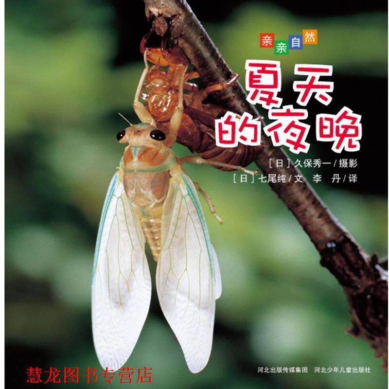 【正版书籍】 亲亲自然 夏天的夜晚 七尾纯 河北少年儿童出版社