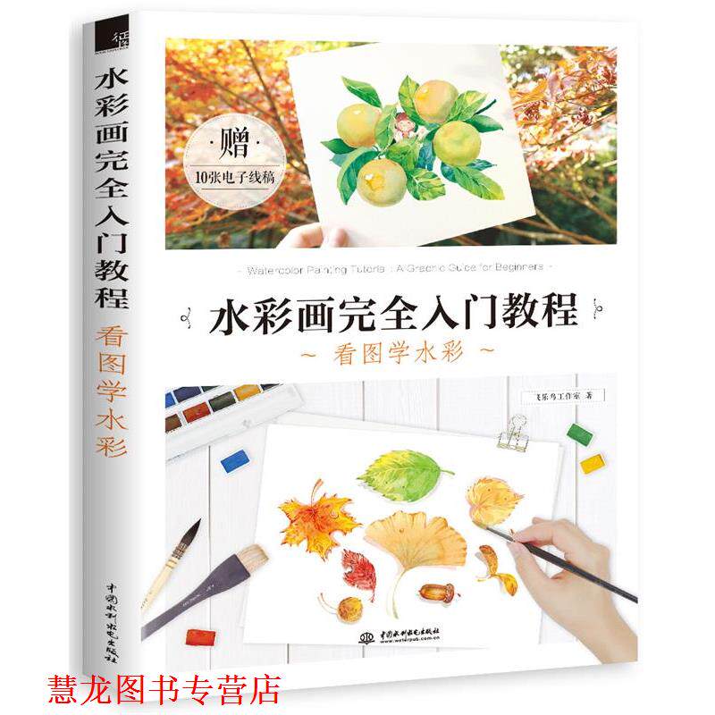 【正版书籍】 水彩画入门教程 看图学水彩 飞乐鸟 水利水电出版社