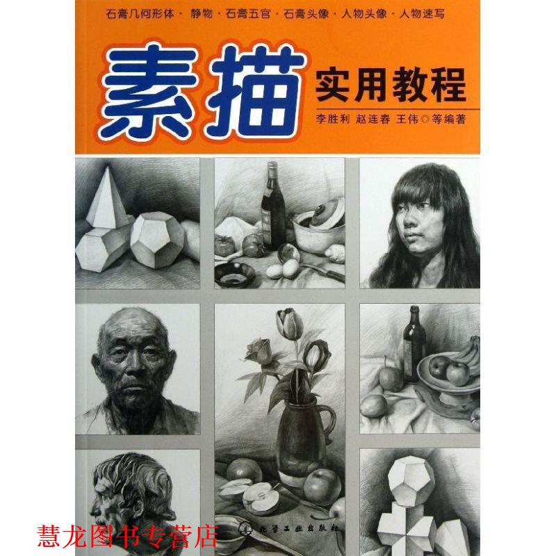 【正版书籍】 素描实用教程 李胜利,赵连春,王伟 等编著 化学工业出版社