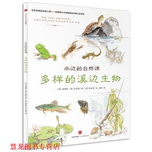 韩 正版 多样 金贤泰 中信出版 水边 著 书籍 社 自然课 孙尚昊 溪边生物
