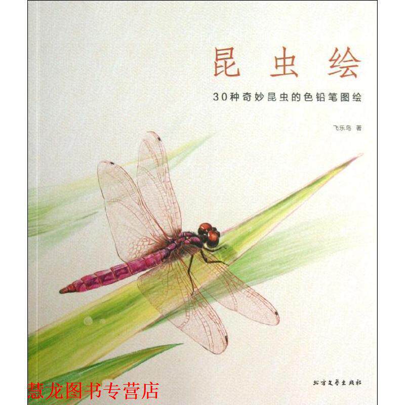 【正版书籍】 昆虫绘:30种奇妙昆虫的色铅笔图绘 飞乐鸟著 北方文艺出版社