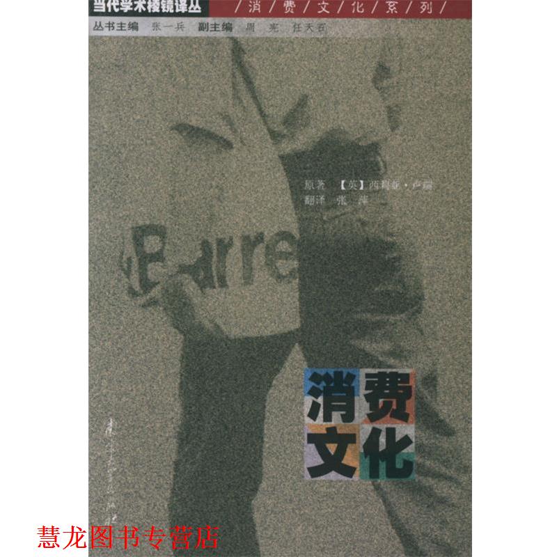 【正版书籍】 消费文化—当代学术棱镜译丛 (英)卢瑞 著,张萍 译 南京大学出版社