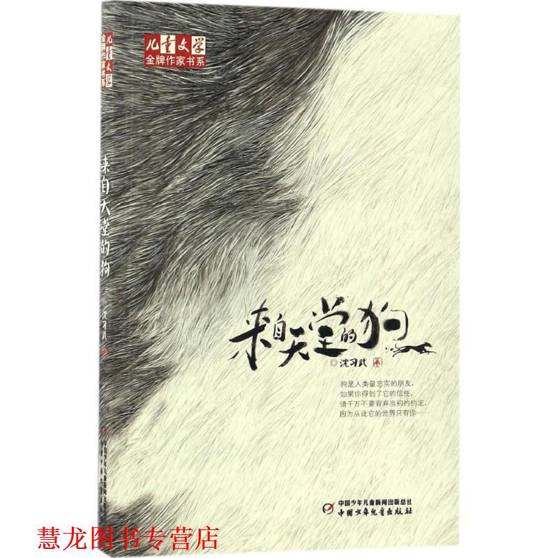 【正版书籍】 来自天堂的狗 沈习武 中国少年儿童出版社