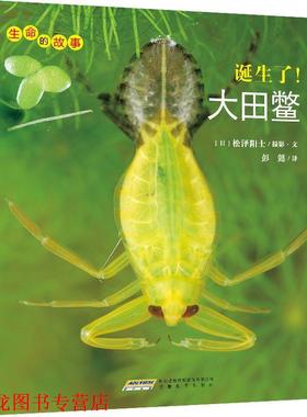 【正版书籍】 生命的故事 第3辑:诞生了！大田鳖 松泽阳士,彭懿 安徽教育出版社