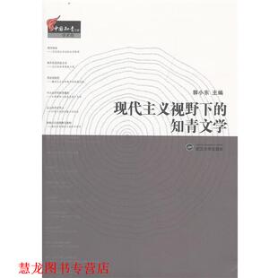 【正版书籍】 现代主义视野下的知青文学 郭小东 武汉大学出版社
