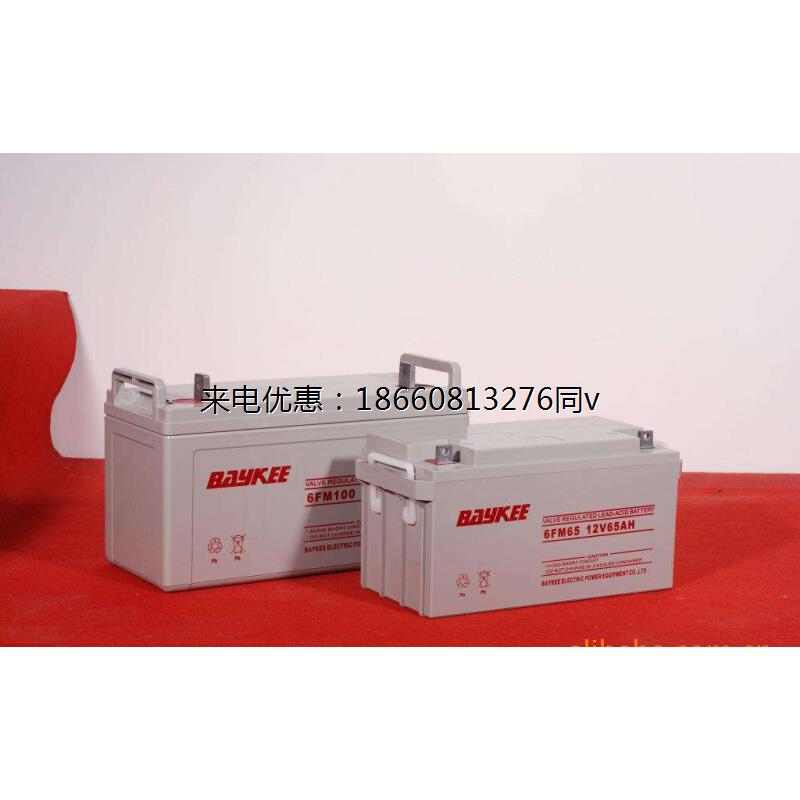 BAYKEE/柏克蓄电池 6FM24,12V24AH阀控密封式铅酸免维护现货 直销