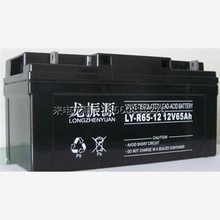UPS直流屏计算机机房电源 储能工匠电池 龙振源蓄电池LY R12V6H
