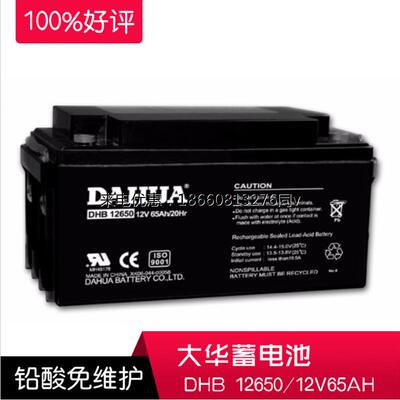 DAHUA大华DHB12650蓄电池铅酸免维护12V65AH直流屏太阳能质保三年