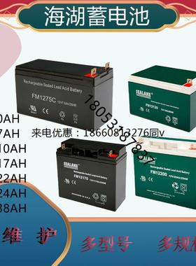 SEALAKE海湖蓄电池FM/UPS12V7/10/12/17/22/24/38/65/100AH6V10AH