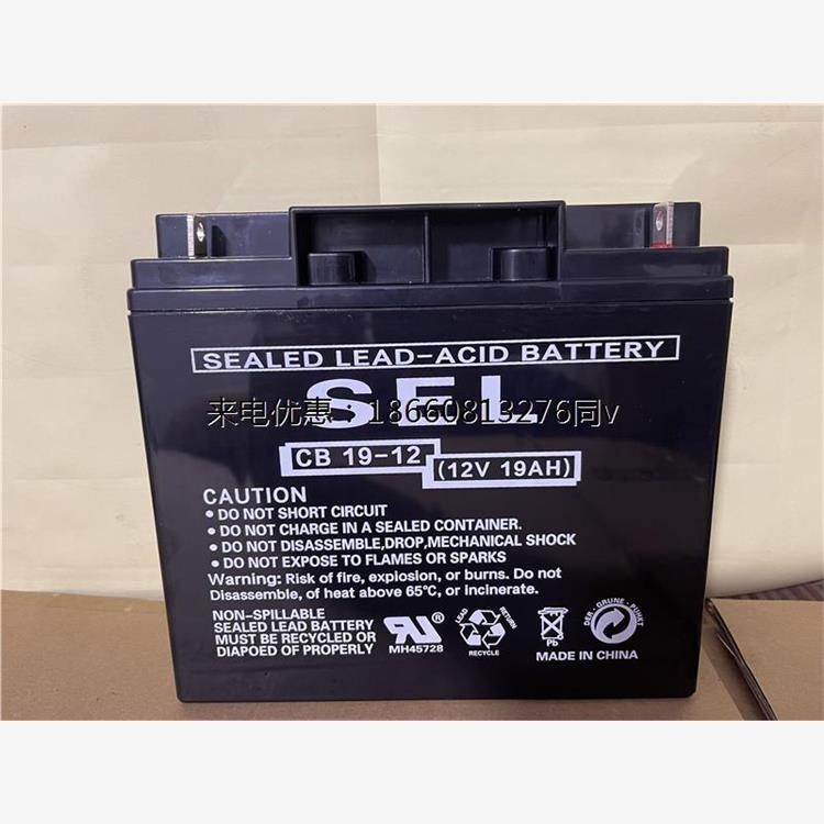 SEL蓄电池12V19AH消防设施电梯照明设备CB19-12机房UPS/EPS免维护