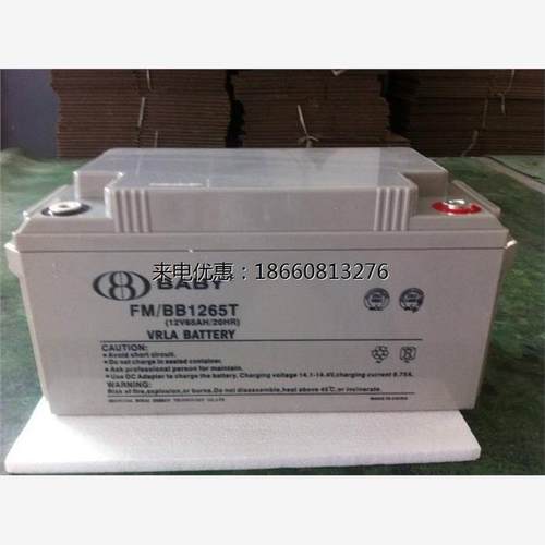 鸿贝铅酸蓄电池12v65ah 蓄电池FM/BB1265T 太阳能路灯UPS电源包邮