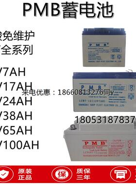 PMB蓄电池LCPA12V7AH17AH24AH38AH65AH100AH进口铅酸ups/eps专用