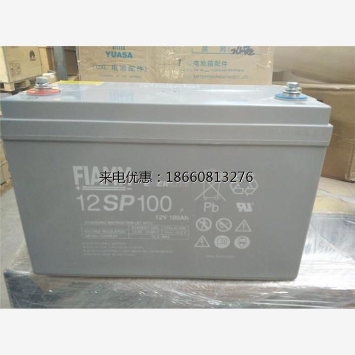 非凡蓄电池12V100AH 12SP100 UPS/EPS/直流屏等电力设备专用