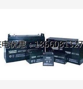 12V 24AH阀控式蓄电池 USAOK UPS电源专用蓄电池 12V24AH 免维护