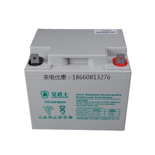 PH12V38AH 12V38AH蓄电池 电源电池 免维护蓄电池 金武士UPS专用
