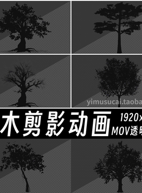 Pr/Ae动画视频素材10款黑色树木剪影后期合成特效mov透明素材